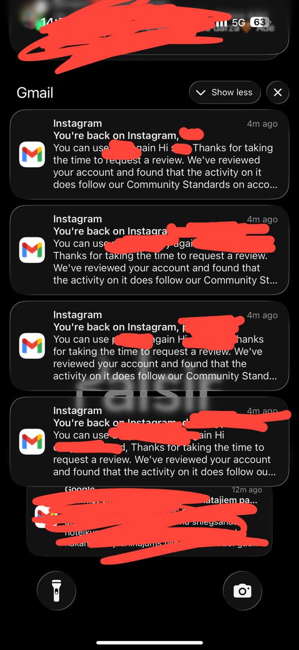 Meta’s own reinstatement emails landing after review.